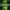 Pressure