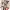 Idolmaster Cinderella Girls (The)