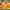 Layton Mystery Tanteisha: Katri no Nazotoki File