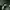 Maestra: Strings of Truth