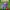 Ask the StoryBots