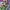 Transformers: Rescue Bots