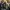 Brokenwood Mysteries (The)