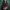 Lizzie Borden: The Fall River Chronicles