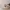 Girlfriend Experience (The)