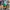 Episodes