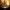 FlashForward 