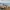 Durrells (The)