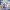 Uma Musume: Cinderella Gray