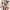 Idolmaster Cinderella Girls (The)