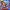 Yu-Gi-Oh! Sevens - Episode 62