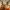 Scrublands - Episode 1