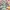 Tantei kageki Milky Holmes TD - Bonds Plus One