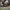Project Greenlight