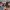Selftape
