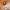 Eva Longoria: Searching for Mexico