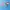 Amazing World of Gumball: Darwin's Yearbook (The)