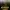 Secret of Skinwalker Ranch (The)