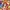 Gourmet Girl Graffiti