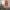 Singletown - Episode 2