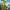 Gigantosaurus - Mazu Takes A Chance
