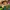 Monchhichi