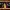 Miniaturist (The)