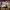 Lego Star Wars: Droid Tales