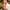 Bizarre Foods with Andrew Zimmern