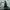 Count of Monte Cristo (The)