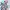 Little Witch Academia