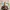 Rainn Wilson and the Geography of Bliss