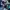Phantasy Star Online 2: Episode Oracle
