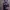 Ghost in the Shell: SAC_2045