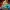 Lego Star Wars: The Freemaker Adventures