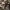 Boarding House Number 24 - Episode 8