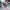 Pretty Guardian Sailor Moon Crystal - Reunion: Endymion