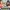 Genshiken - Comparative Classification of Consumption and Diversion Among Modern Youth