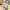 Seiyuu Radio no Uraomote - Yuhi and Yasumi and Displeasure And
