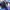 Butlers: Chitose Momotose Monogatari - A Thousand Years, a Hundred Years