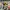 Assassination Classroom - End-of-Term Time