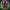 Descendants: Wicked World