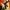 Freedom Fighters: The Ray - Teaser, First Look, The Trevor Project