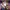 House of Eliott - Episode Nine
