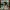 Settle Down - Anxious-Avoidant