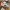 Mitsudomoe - A Day at the Marui House