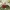 A Female Student Arrives at the Imperial College - Episode 25