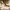Legend of Xianwu - Episode 22