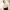 Women in Taipei - The Invisible Tower of Babel in Xinyi District