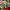Rokudou no Onna-tachi - We're Gonna Win